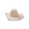 ‎mens Hats & Caps Stetson Stetson Men's Shasta Cowboy Hat Silverbelly
