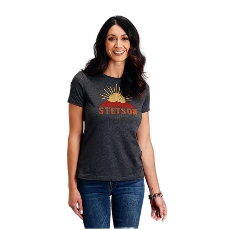 Stetson Tops, Tees & Blouses ‎womens Stetson Womens Dark Grey Cotton Blend Sunset and Mountain S/S T-Shirt XL